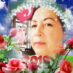 Meet your Posher, Haydee